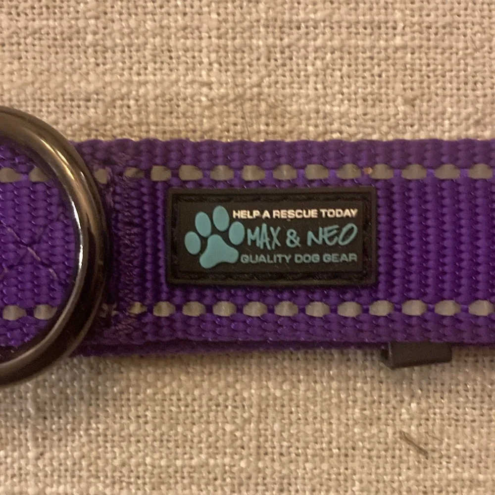 Dog collar max & Neo